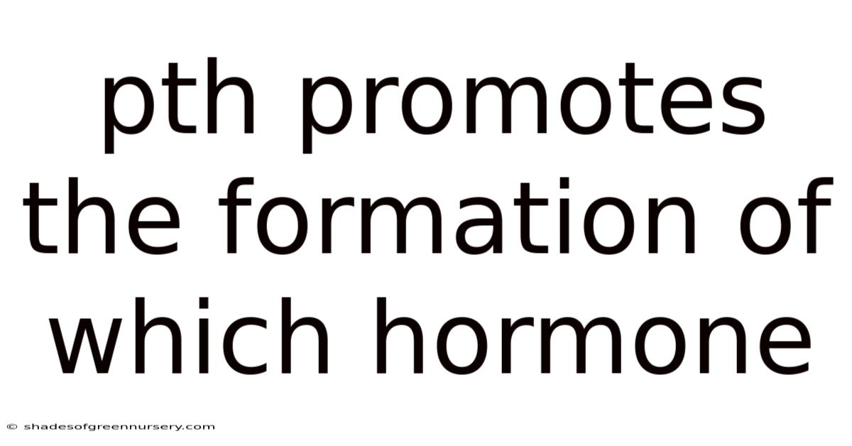 Pth Promotes The Formation Of Which Hormone