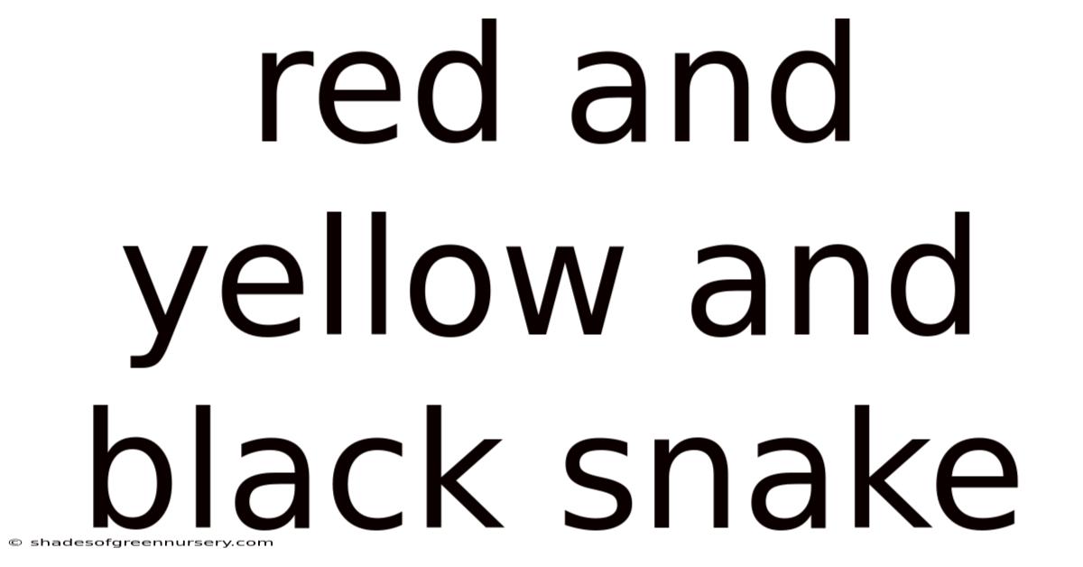 Red And Yellow And Black Snake