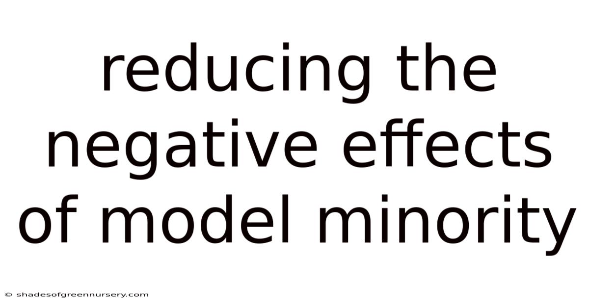 Reducing The Negative Effects Of Model Minority