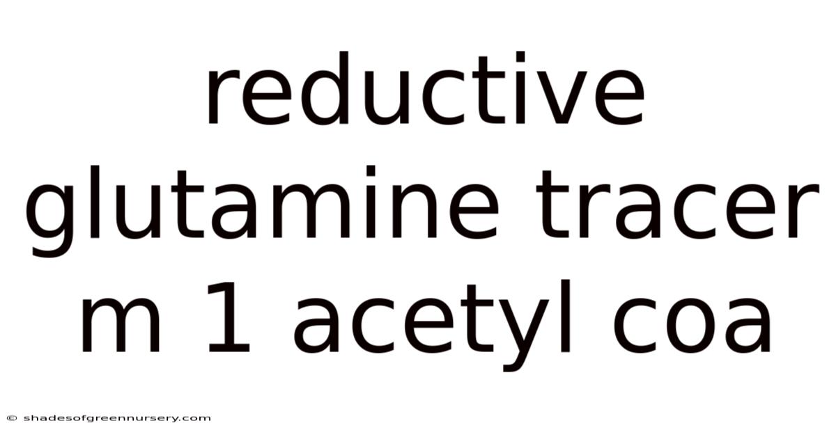 Reductive Glutamine Tracer M 1 Acetyl Coa