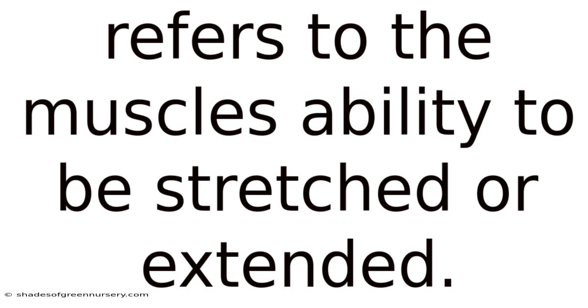 Refers To The Muscles Ability To Be Stretched Or Extended.