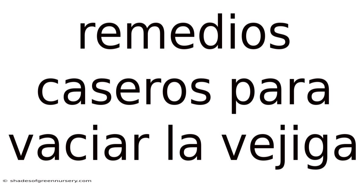 Remedios Caseros Para Vaciar La Vejiga