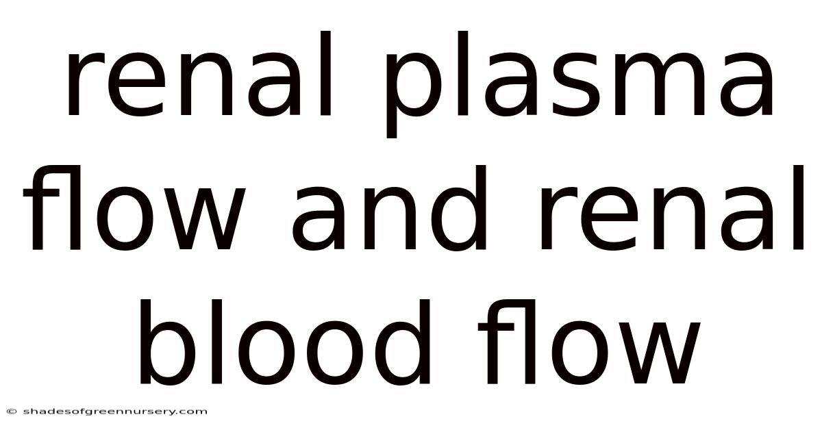 Renal Plasma Flow And Renal Blood Flow