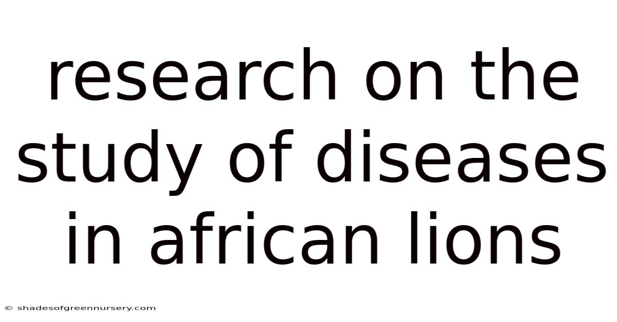 Research On The Study Of Diseases In African Lions