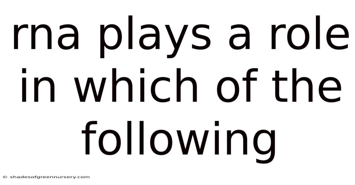 Rna Plays A Role In Which Of The Following