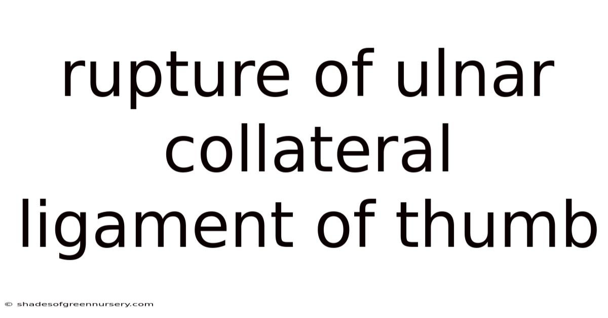 Rupture Of Ulnar Collateral Ligament Of Thumb