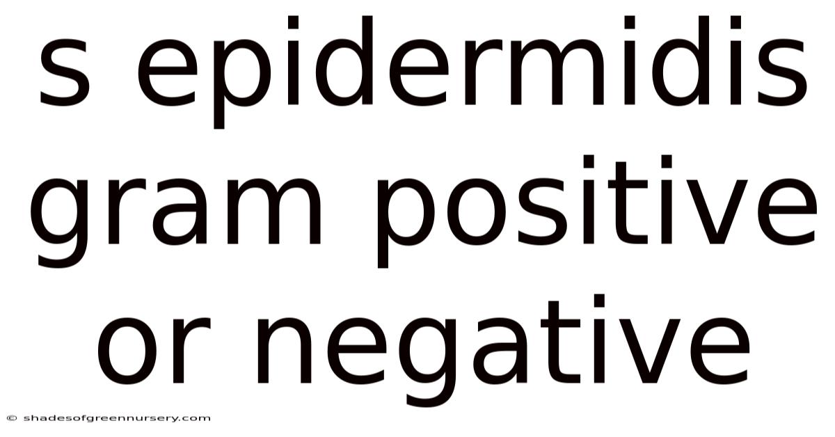 S Epidermidis Gram Positive Or Negative