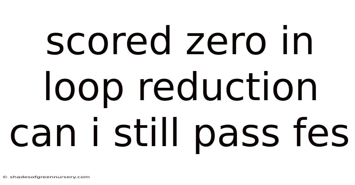 Scored Zero In Loop Reduction Can I Still Pass Fes