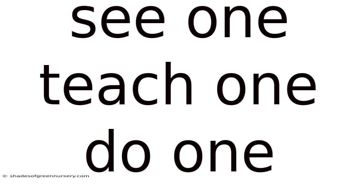 See One Teach One Do One