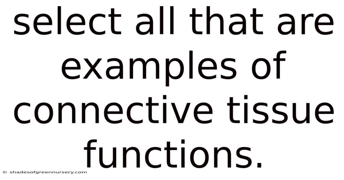 Select All That Are Examples Of Connective Tissue Functions.