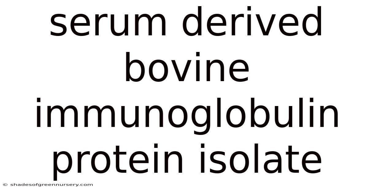 Serum Derived Bovine Immunoglobulin Protein Isolate