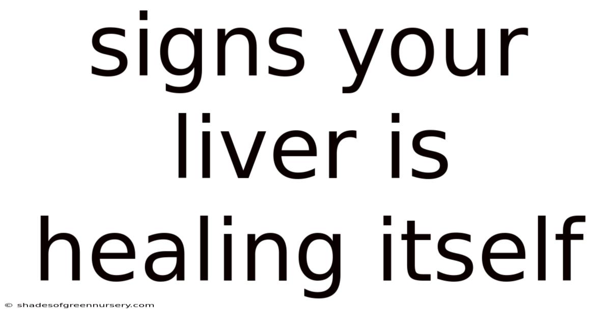 Signs Your Liver Is Healing Itself