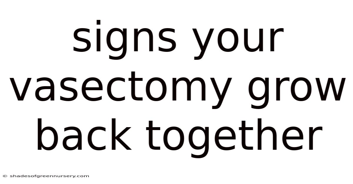 Signs Your Vasectomy Grow Back Together