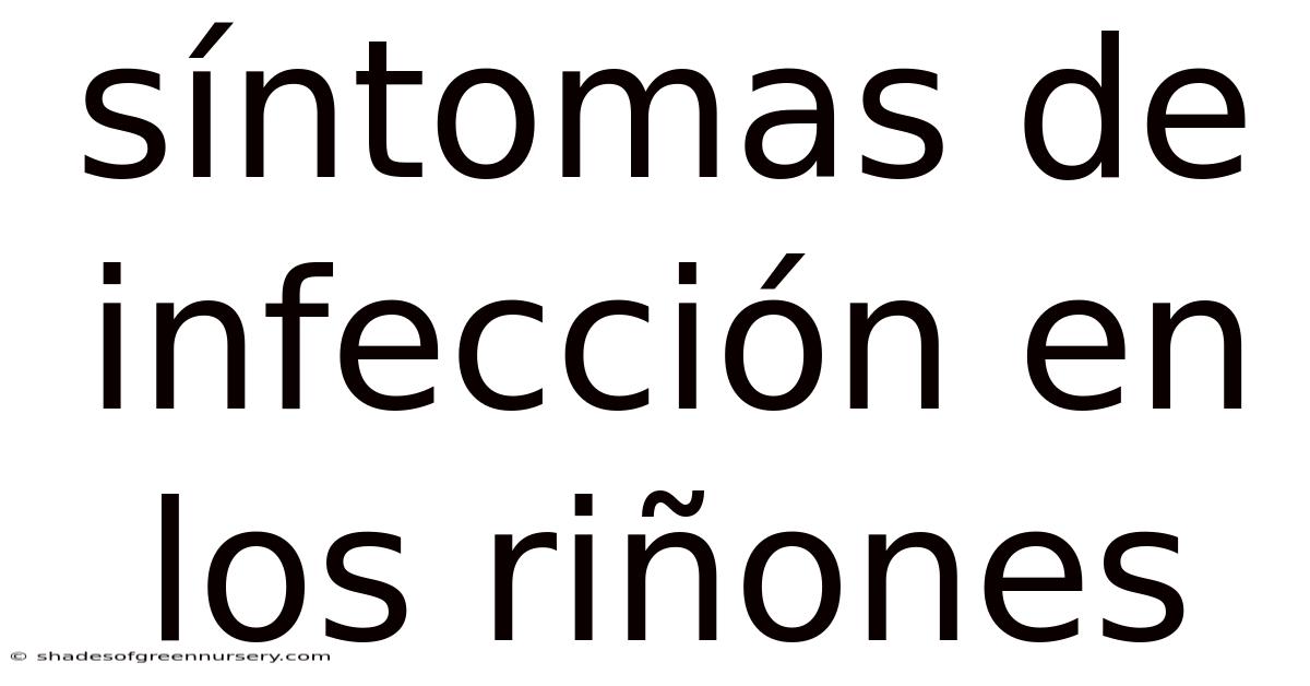 Síntomas De Infección En Los Riñones