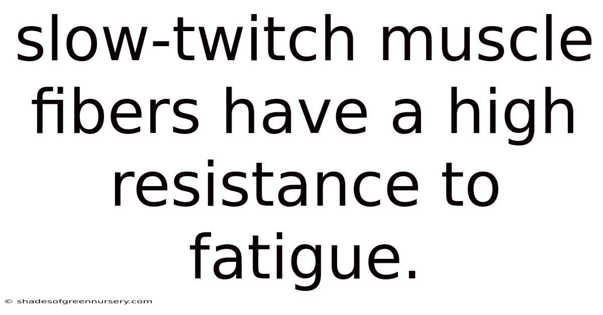 Slow-twitch Muscle Fibers Have A High Resistance To Fatigue.