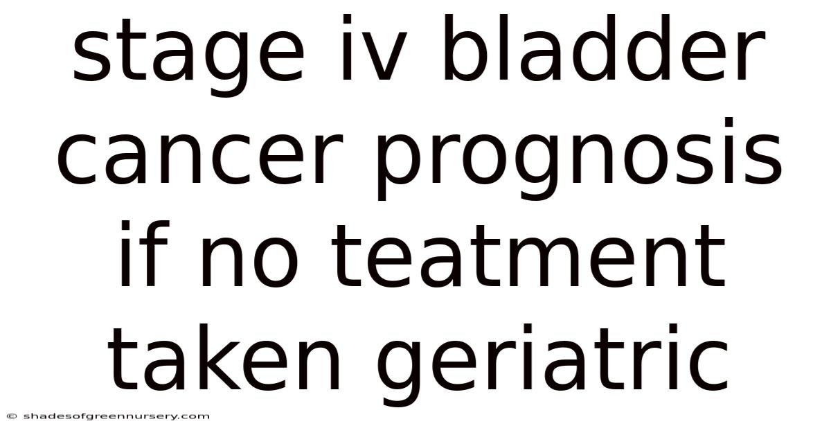 Stage Iv Bladder Cancer Prognosis If No Teatment Taken Geriatric
