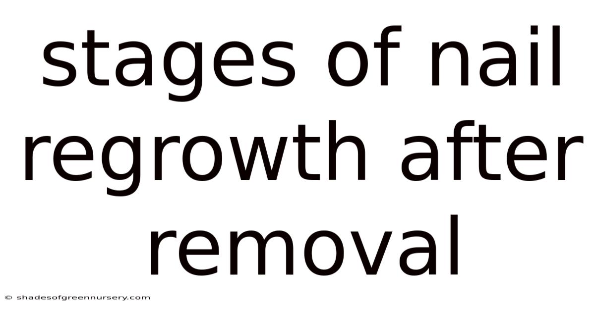 Stages Of Nail Regrowth After Removal