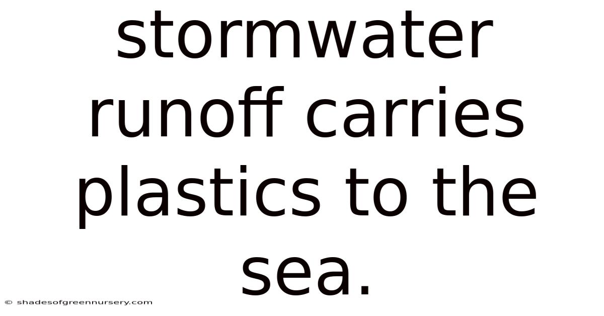Stormwater Runoff Carries Plastics To The Sea.
