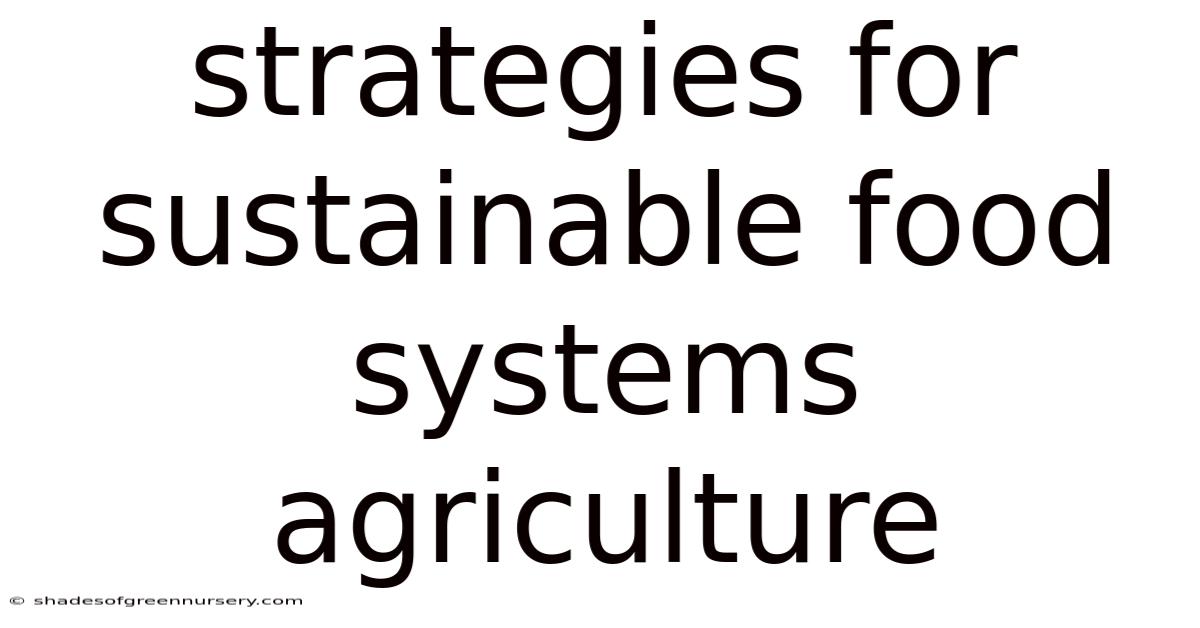 Strategies For Sustainable Food Systems Agriculture