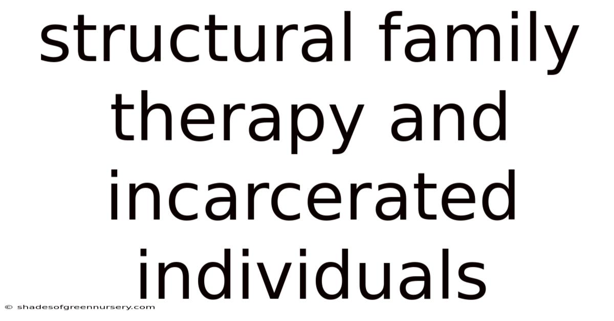 Structural Family Therapy And Incarcerated Individuals