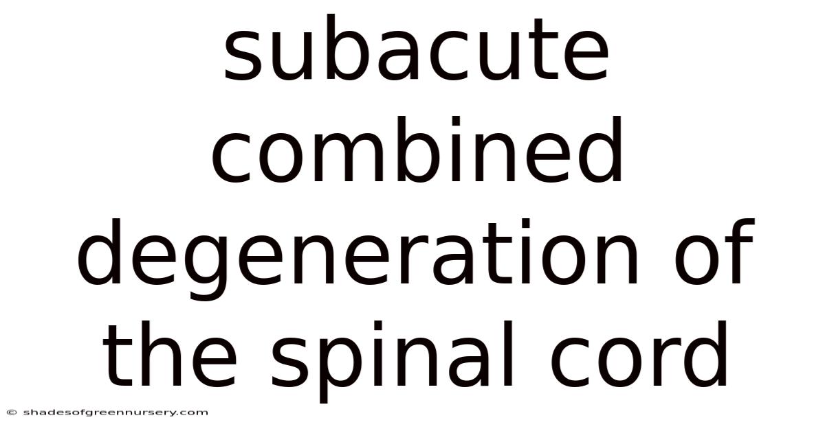 Subacute Combined Degeneration Of The Spinal Cord