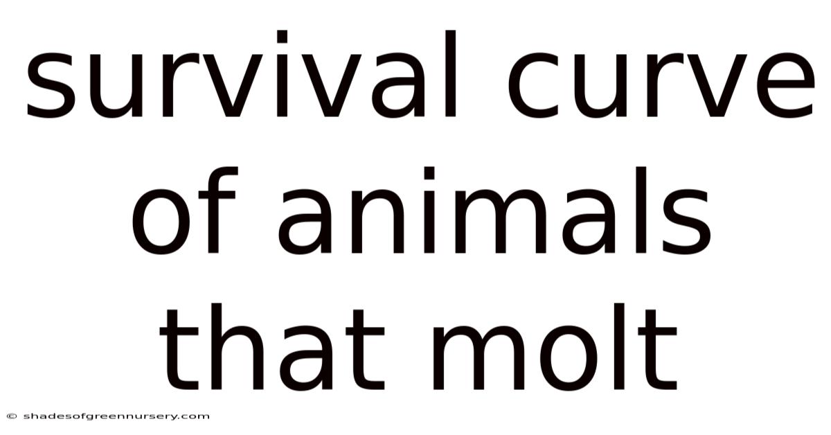Survival Curve Of Animals That Molt