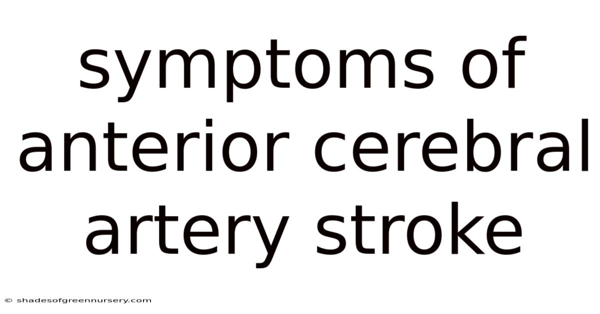 Symptoms Of Anterior Cerebral Artery Stroke