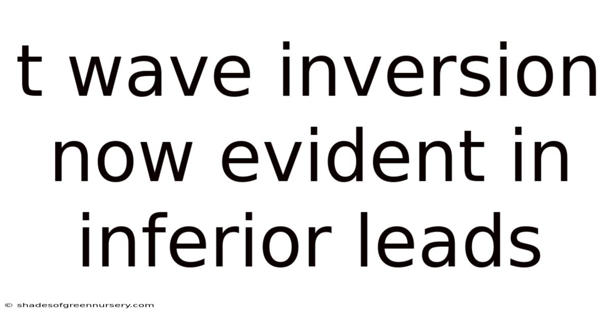 T Wave Inversion Now Evident In Inferior Leads