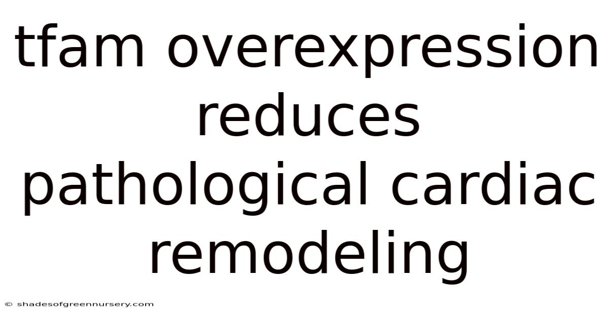 Tfam Overexpression Reduces Pathological Cardiac Remodeling