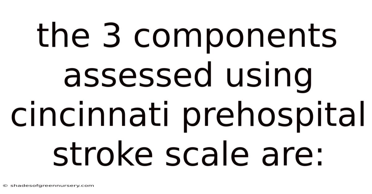 The 3 Components Assessed Using Cincinnati Prehospital Stroke Scale Are: