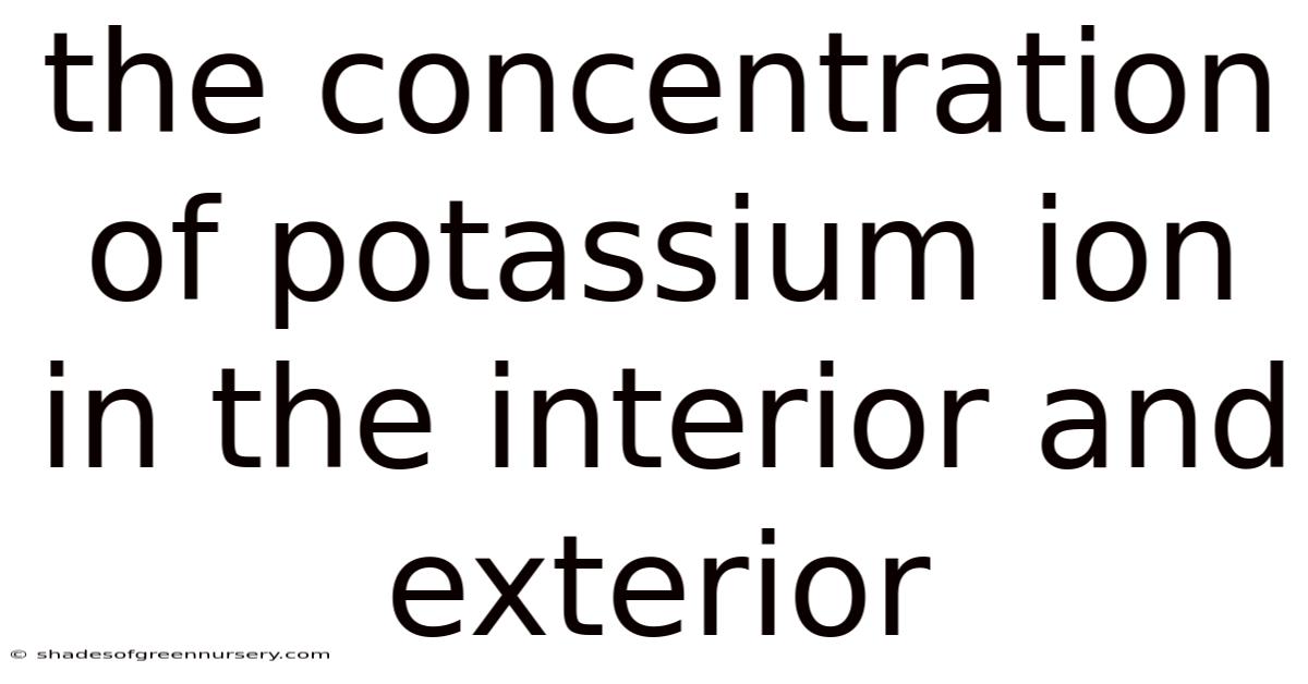 The Concentration Of Potassium Ion In The Interior And Exterior