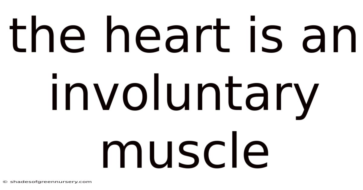 The Heart Is An Involuntary Muscle