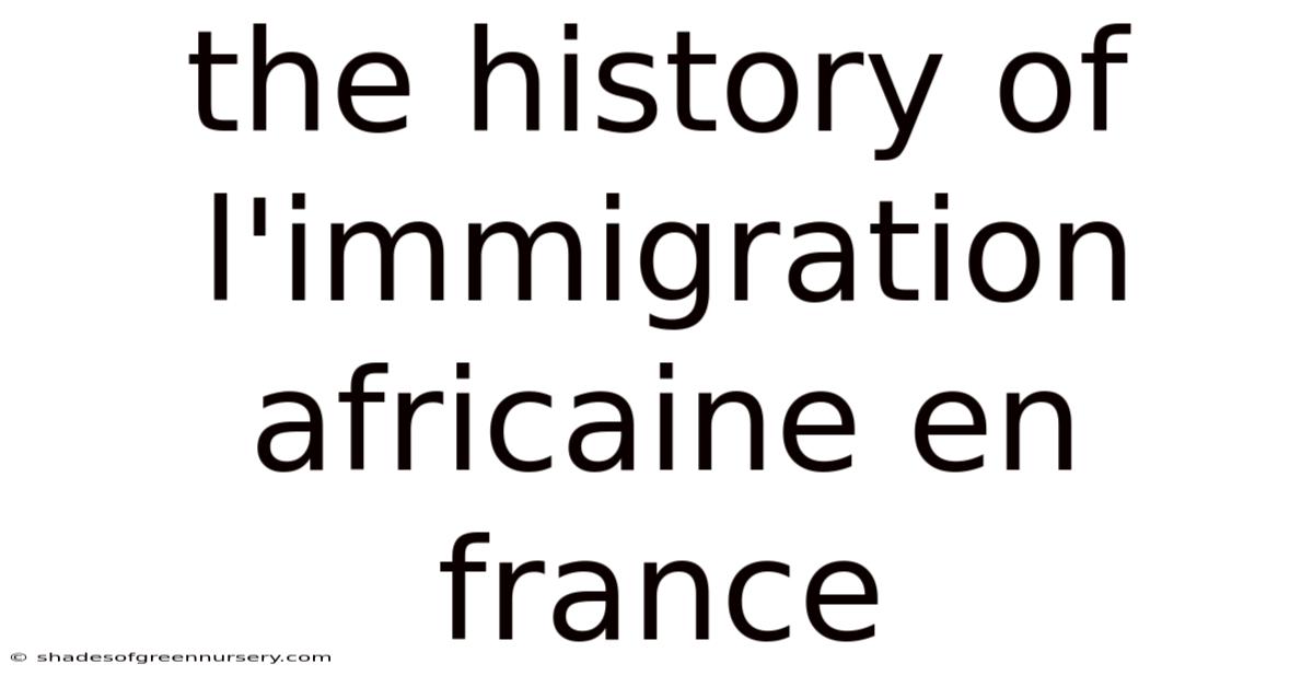 The History Of L'immigration Africaine En France
