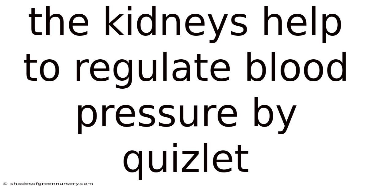 The Kidneys Help To Regulate Blood Pressure By Quizlet