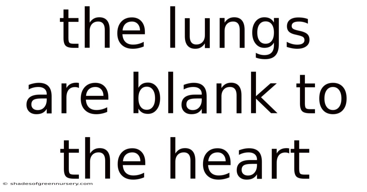 The Lungs Are Blank To The Heart
