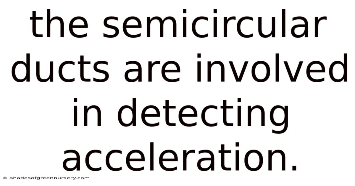 The Semicircular Ducts Are Involved In Detecting Acceleration.