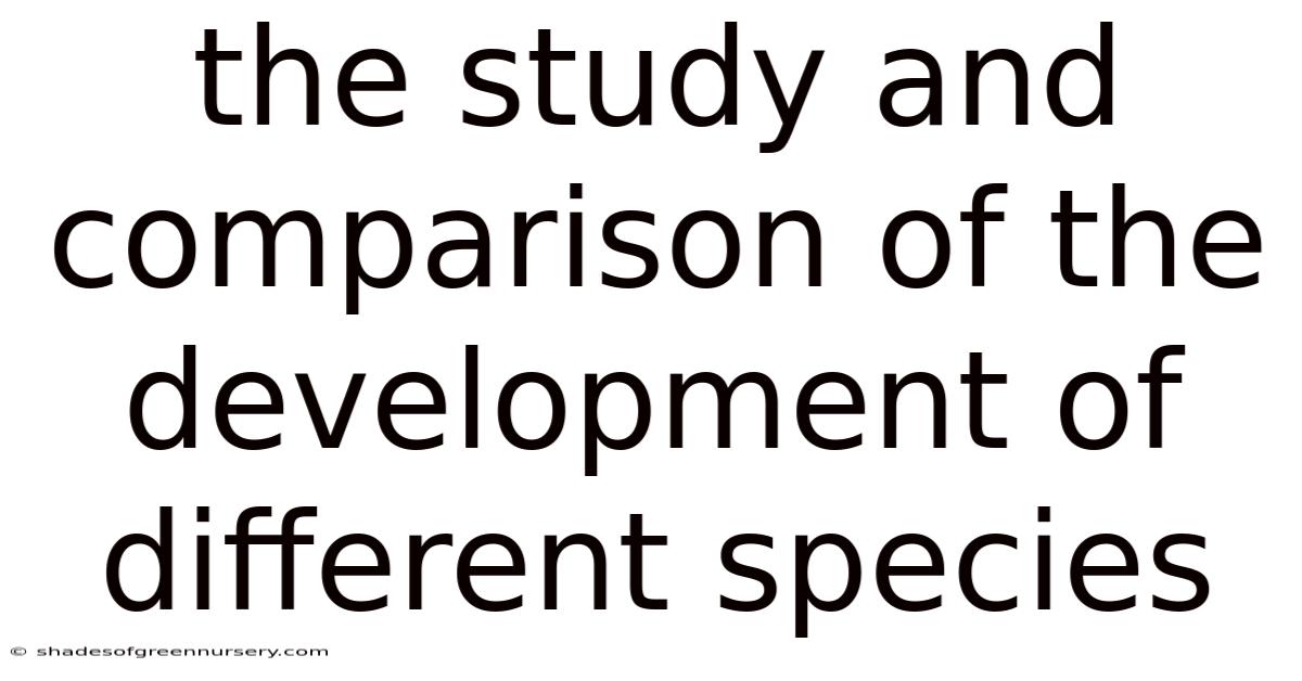 The Study And Comparison Of The Development Of Different Species