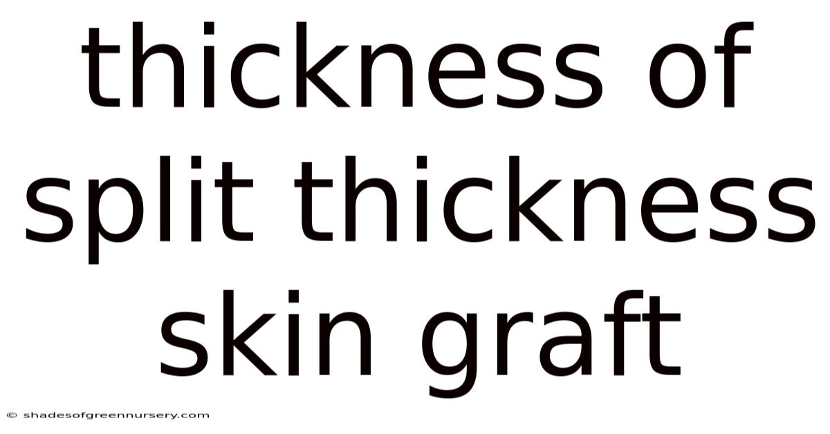 Thickness Of Split Thickness Skin Graft