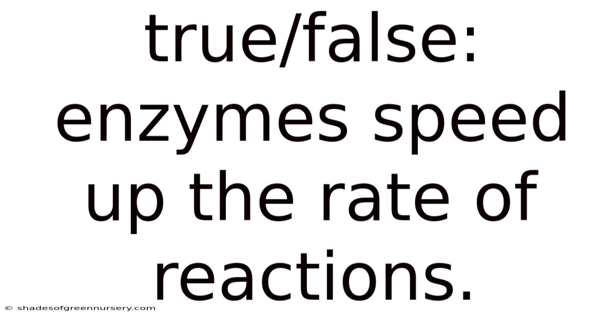 True/false: Enzymes Speed Up The Rate Of Reactions.