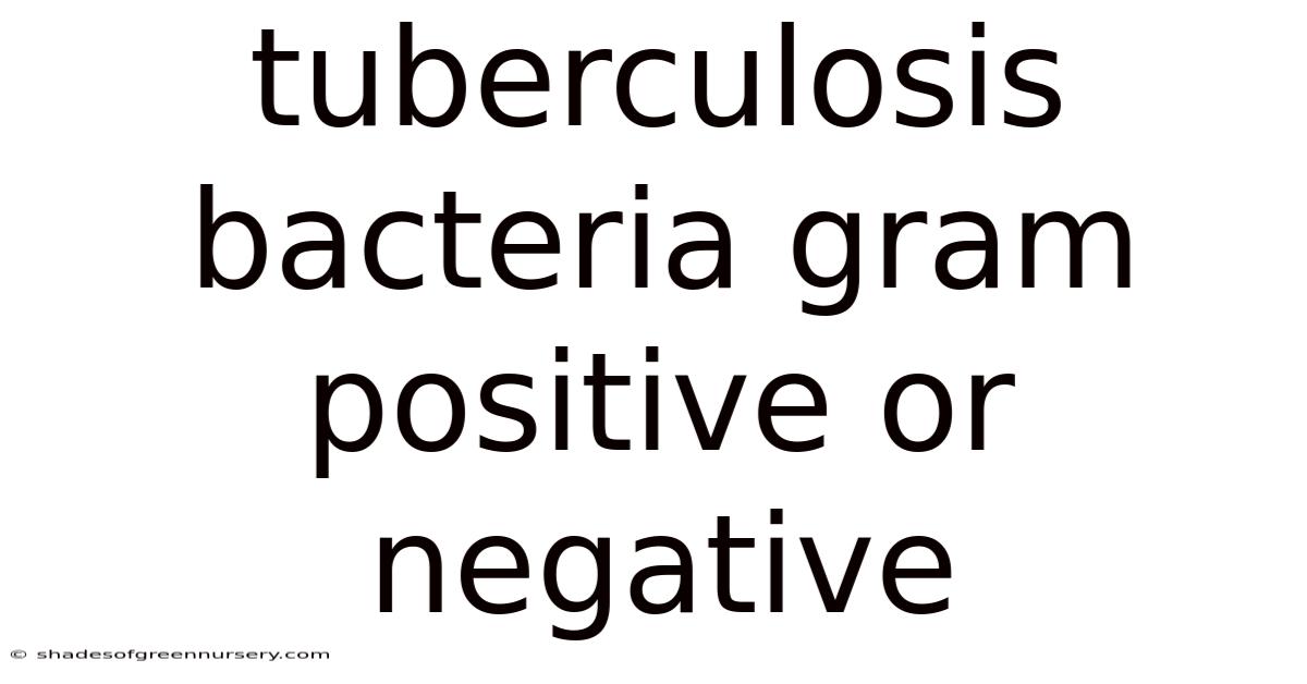 Tuberculosis Bacteria Gram Positive Or Negative