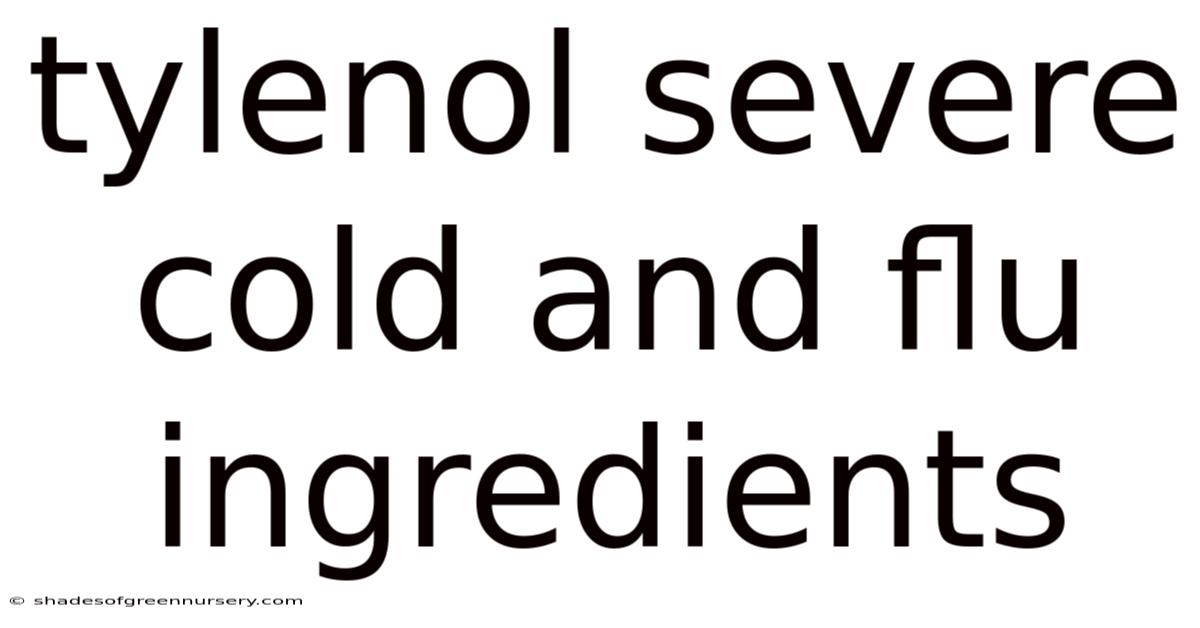 Tylenol Severe Cold And Flu Ingredients