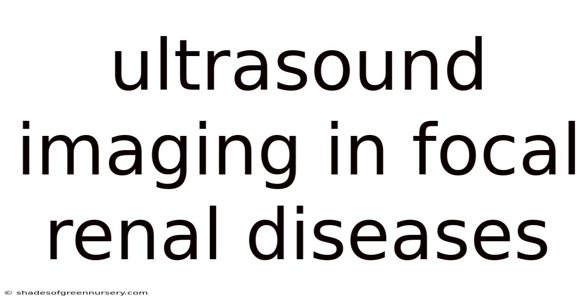 Ultrasound Imaging In Focal Renal Diseases