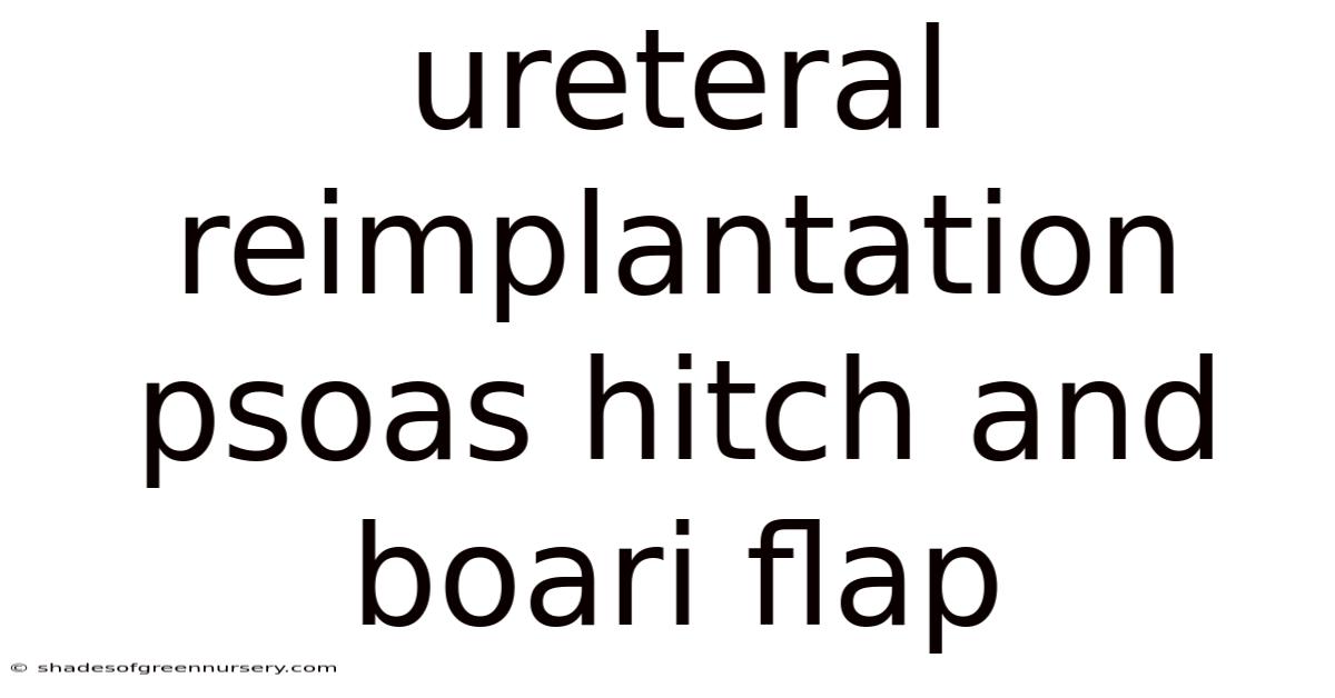 Ureteral Reimplantation Psoas Hitch And Boari Flap