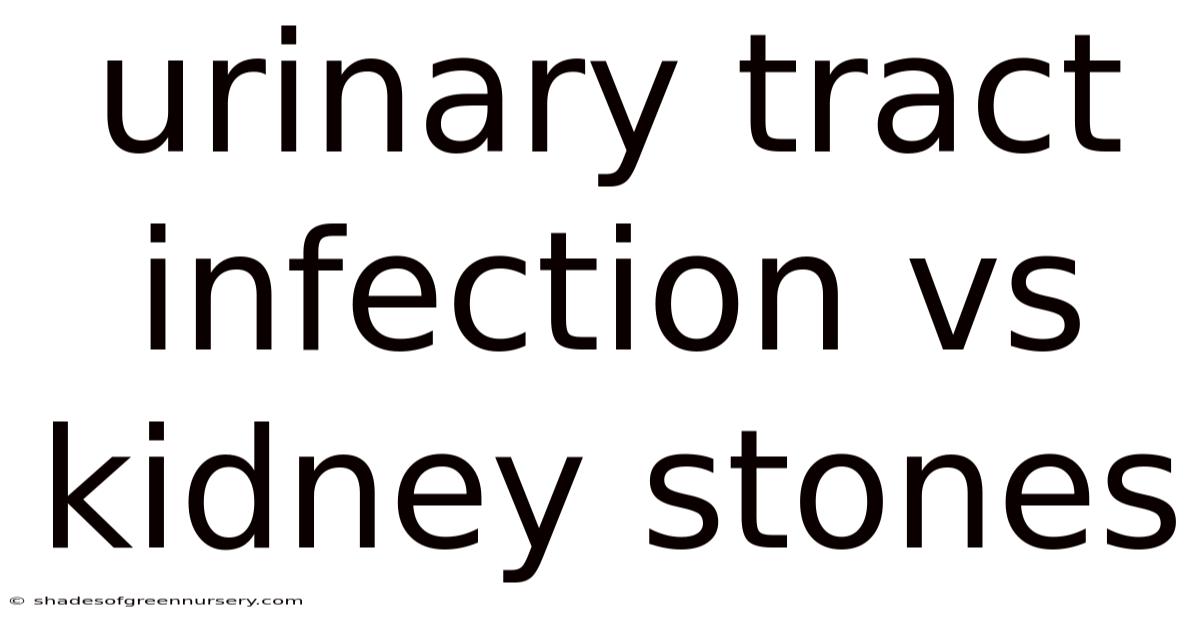 Urinary Tract Infection Vs Kidney Stones