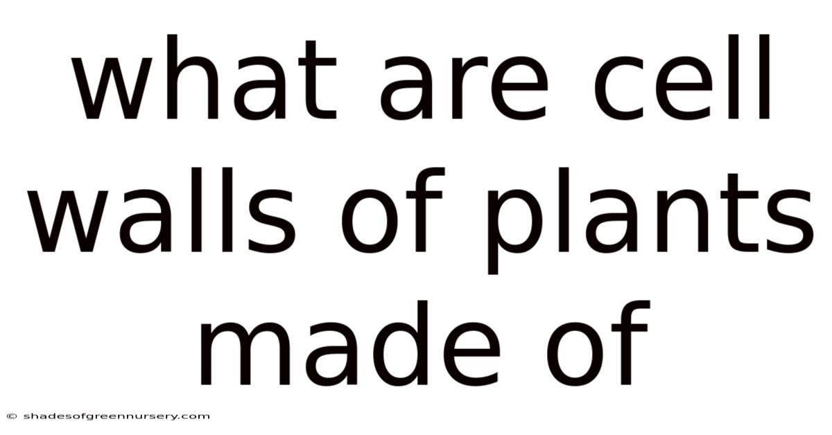 What Are Cell Walls Of Plants Made Of