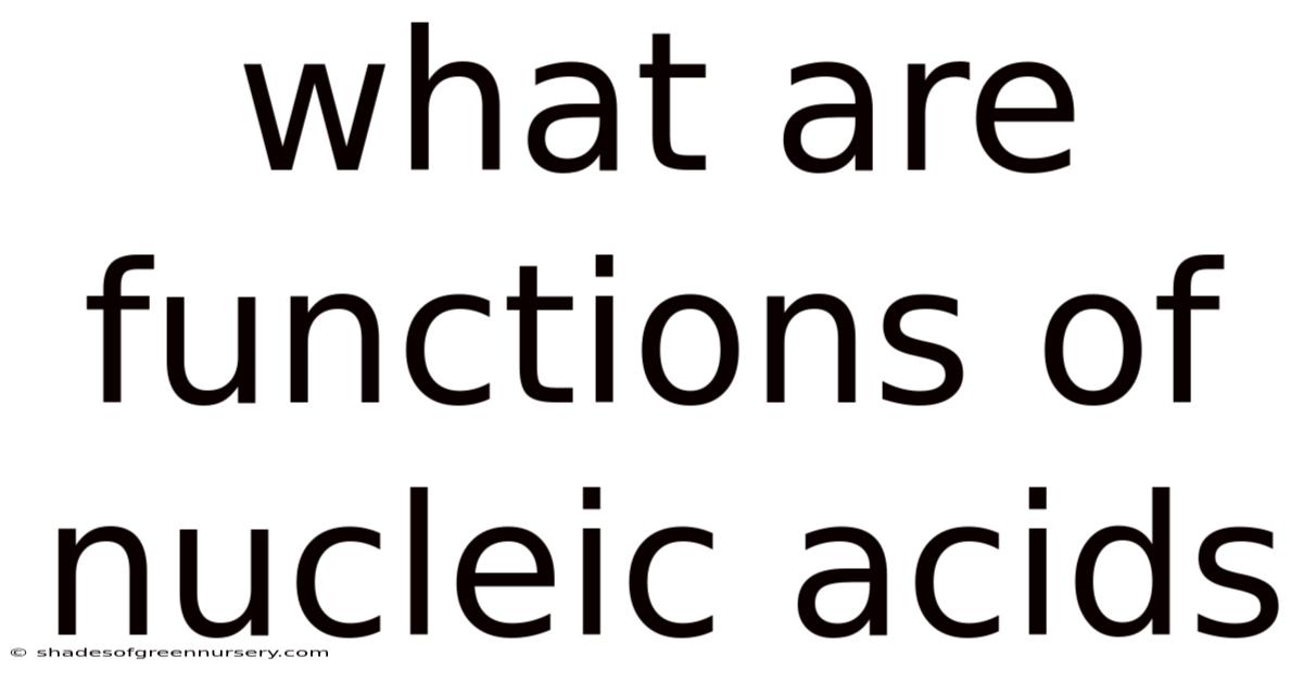What Are Functions Of Nucleic Acids