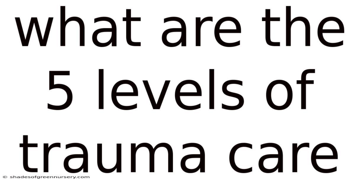 What Are The 5 Levels Of Trauma Care