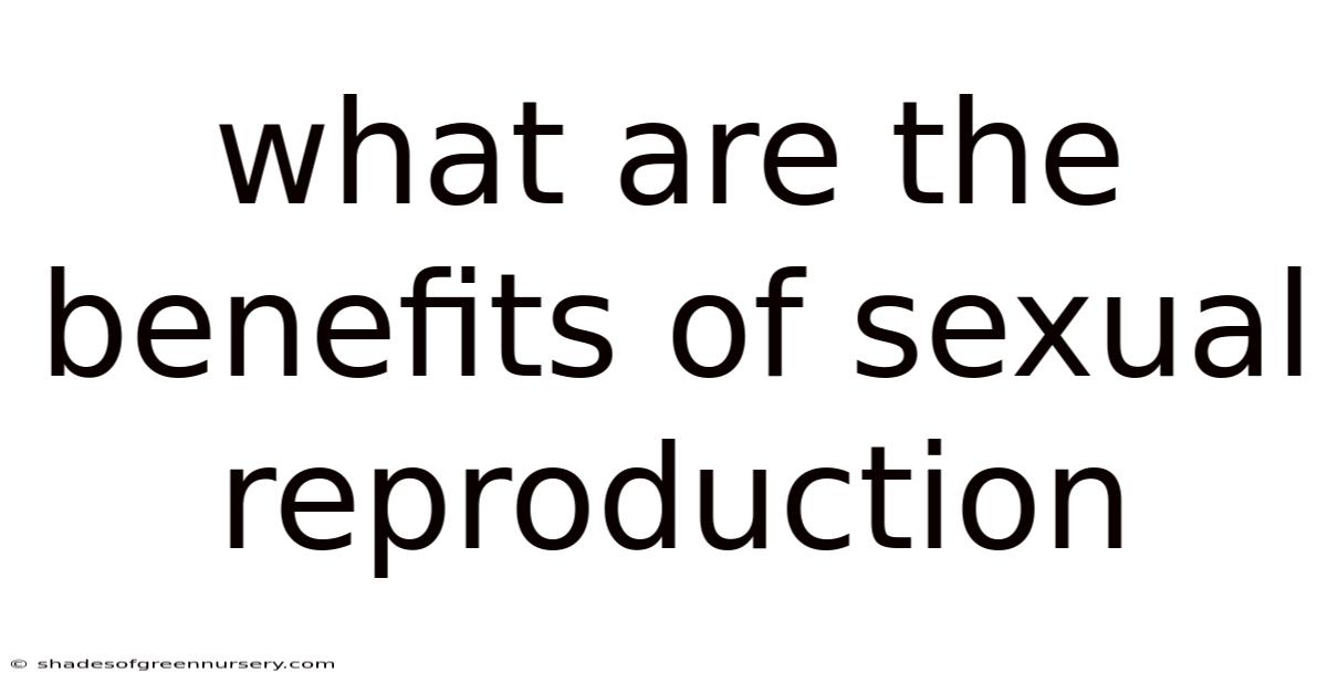 What Are The Benefits Of Sexual Reproduction