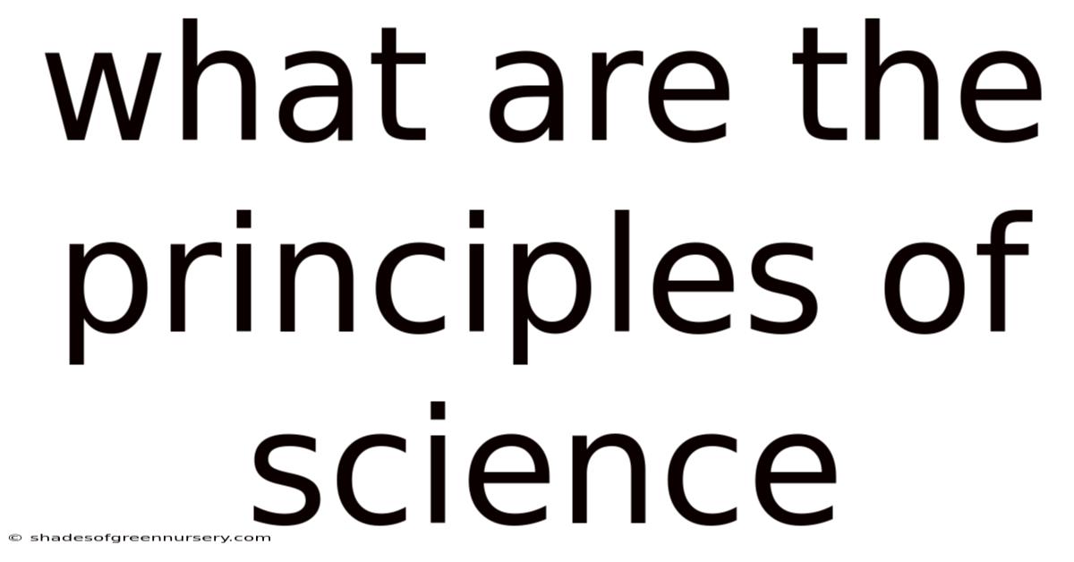 What Are The Principles Of Science