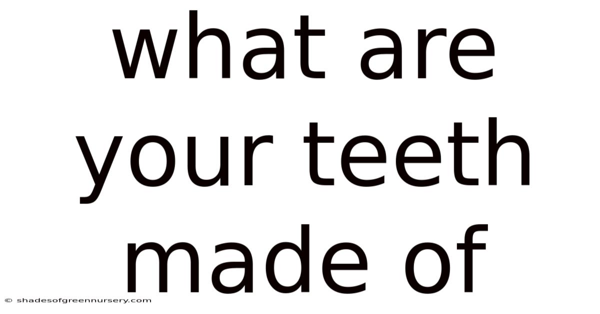 What Are Your Teeth Made Of